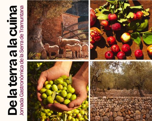 Jornada gastronòmica: De la terra a la cuina