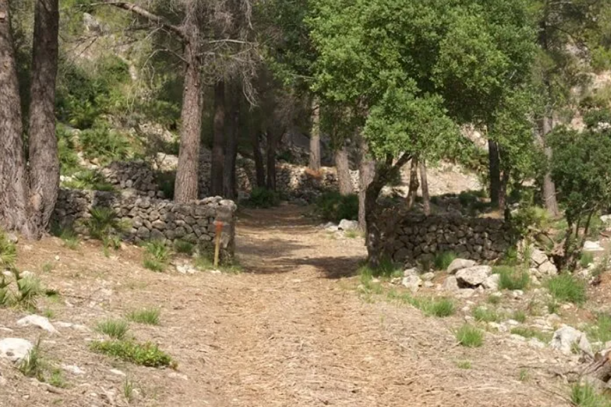 Excursió guiada per la Serra de Tramuntana: Xarxa hidràulica de Galatzó