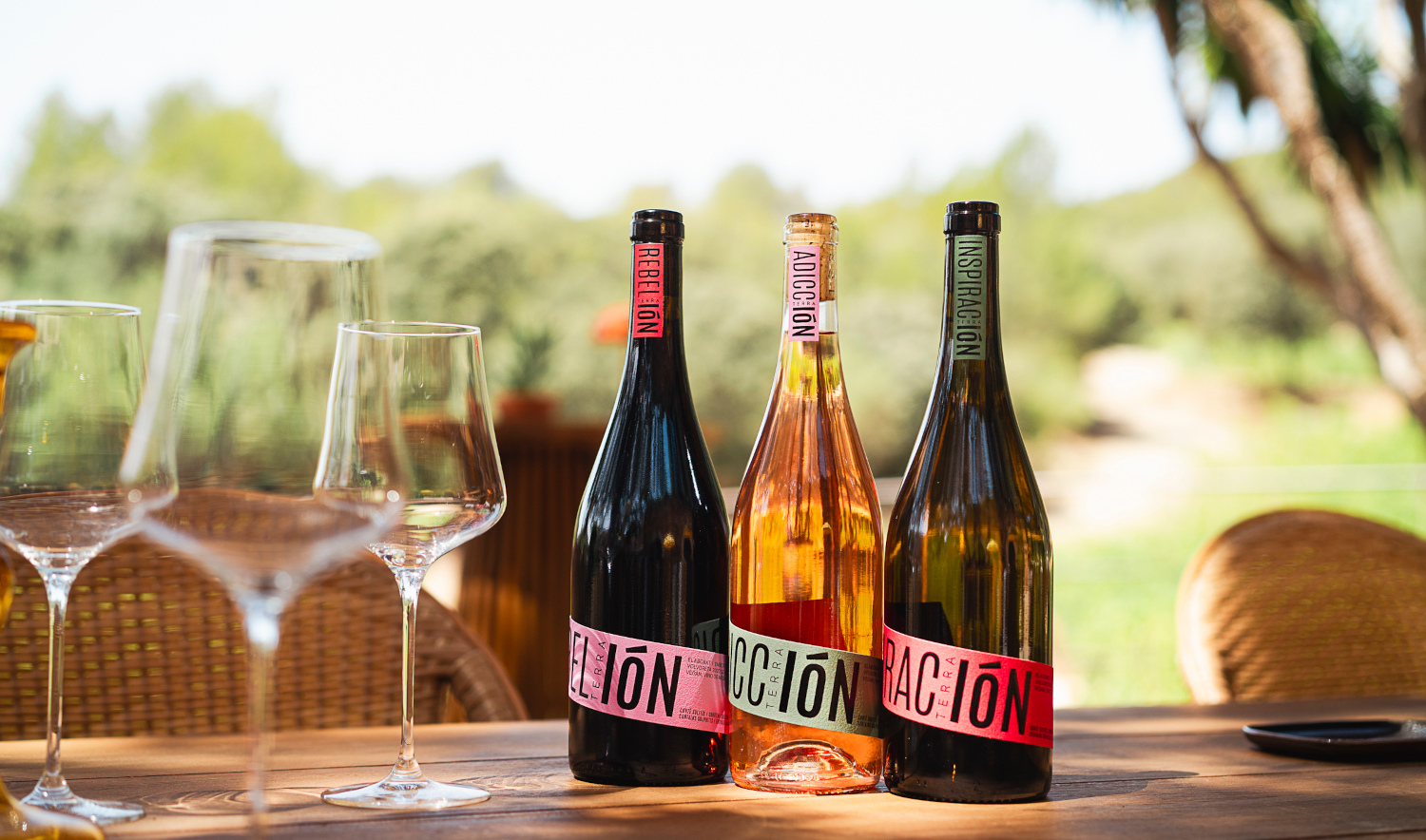 Els vins clàssics de Terra IóN